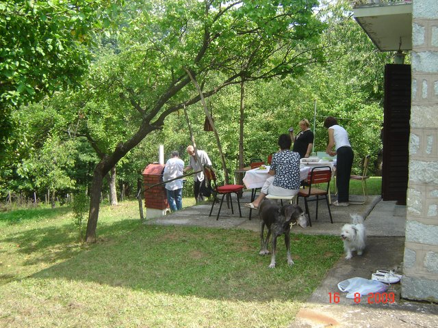 Шумадија, Србија2009