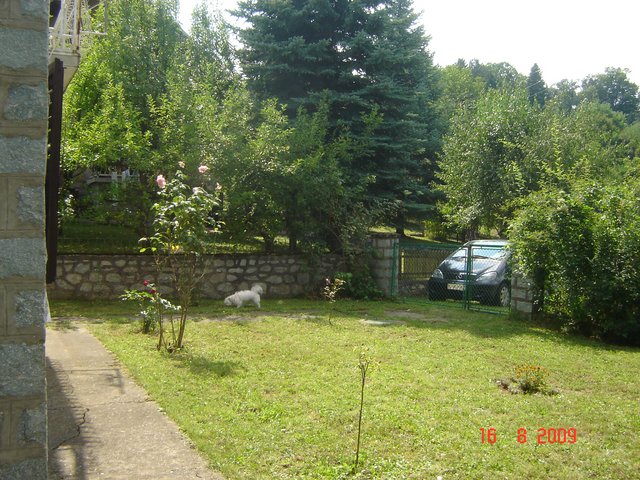 Шумадија, Србија2009