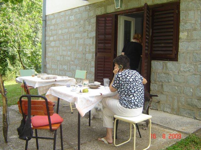 Шумадија, Србија2009