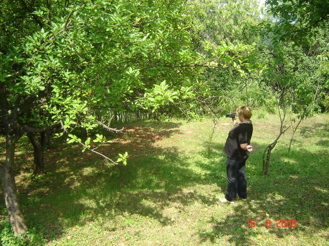 Шумадија, Србија2009