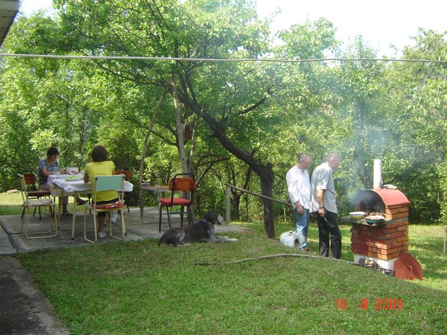 Шумадија, Србија2009