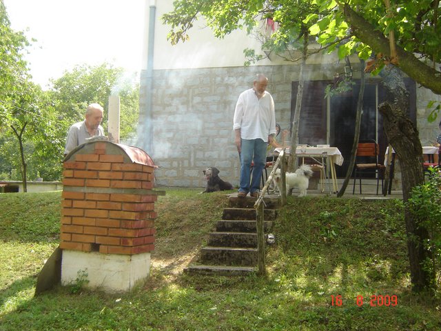 Шумадија, Србија2009