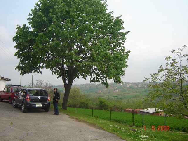 Шумадија, Србија2009