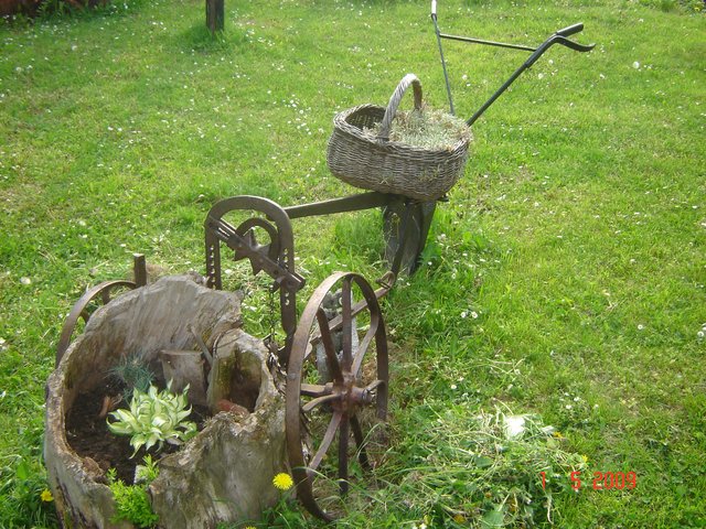 Шумадија, Србија2009