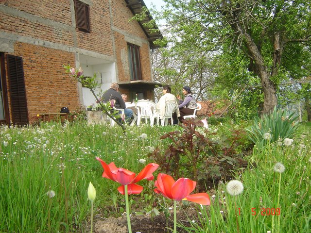 Шумадија, Србија2009